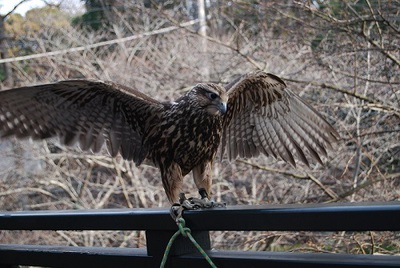 アスカ
