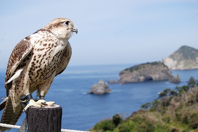 アスカ