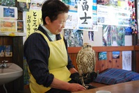 2016年12月10日