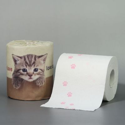 やっぱり猫が好き
