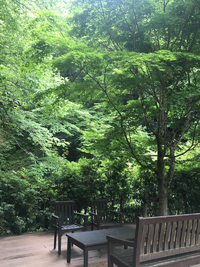 緑いっぱいの場所で、深呼吸をしたら、とてもスッキリしました〜 2019/06/21 13:49:18