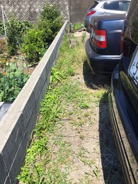 除草剤散布日より