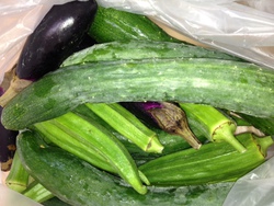 今宮の野菜