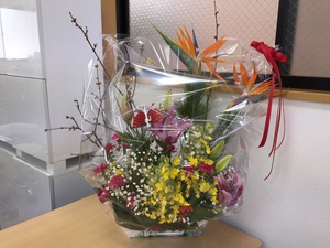 今年もよろしくお願いします