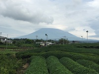 天気予報 2015/09/03 16:15:16