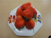 青森県田舎館村のいちご 2016/01/13 17:49:54
