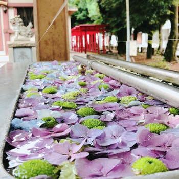 おてんのさんの花手水めぐり