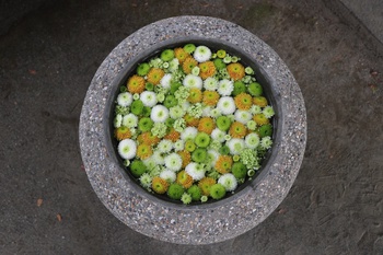 おてんのさんの花手水めぐり
