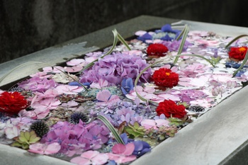 おてんのさんの花手水めぐり