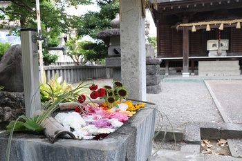 おてんのさんの花手水めぐり