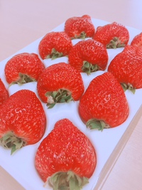 苺が来ました 2018/01/23 17:05:37