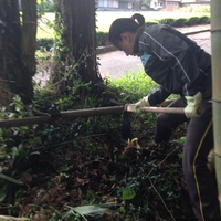 筍狩り 2015/04/22 12:28:03