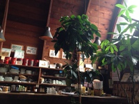 手打ちそば！ 2015/07/23 11:52:57