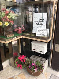 YUKKO先生の裁縫教室②　　　　＃富士市 横割本町 2017/12/15 14:47:25