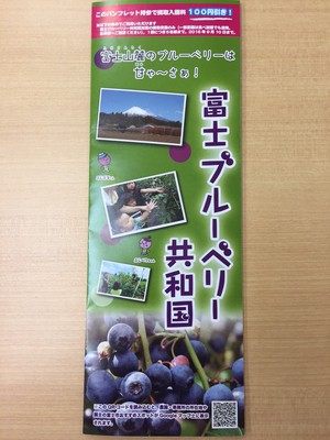 シーズン到来！ #富士市　のブルーベリー狩り！
