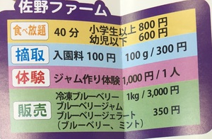 シーズン到来！ #富士市　のブルーベリー狩り！
