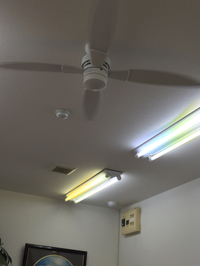 シーリングファン 2015/07/21 13:38:22