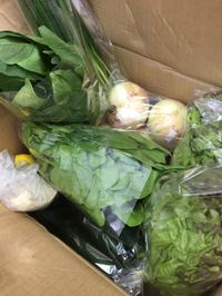 朝採り野菜 2015/05/12 17:10:57
