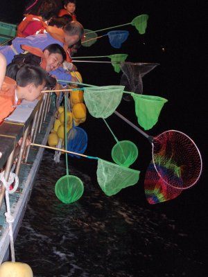 戸田のとびうおすくい知ってますか 深海魚の町戸田 へだ 沼津市戸田観光協会ブログ