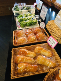 ものすごいご無沙汰です