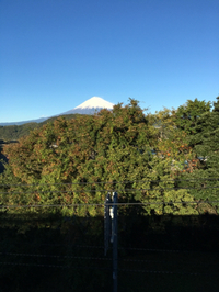 冬がやって来た⁉︎サムッ！