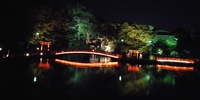 地域のイベント情報 # 浅間大社と白糸の滝ライトアップ