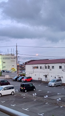 その他2021-006