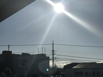 その他54