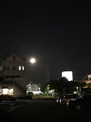 その他56