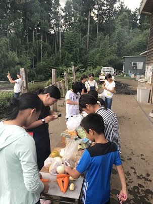 牧場282