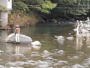 河津川でアマゴ釣りが解禁 かわづふるさと案内人