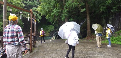 河津七滝案内の打合せと現地下見