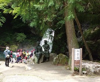 渋谷区の小学生と河津七滝を散策