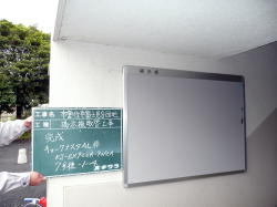 掲示板