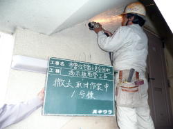 掲示板