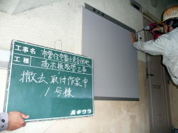 掲示板