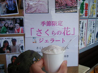桜ジェラート
