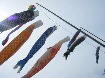 狩野川こいのぼりフェスタ。