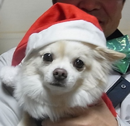 クリスマス