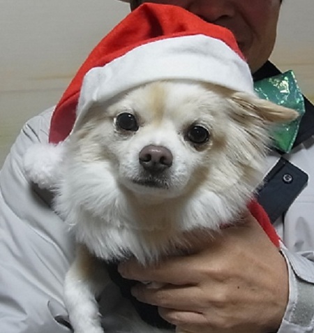 クリスマス