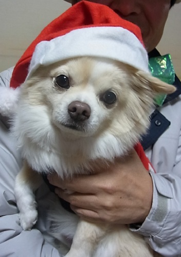 クリスマス