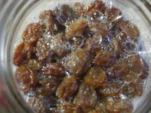 酵母サン