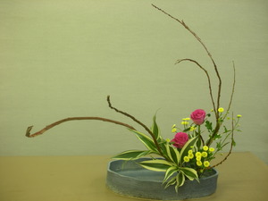 今週のお花＾＾