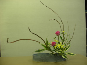 今週のお花＾＾