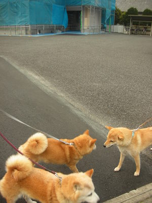 発見♪