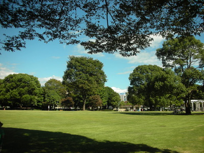 公園ていいね♪