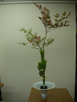 今週のお花