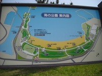 いざ、潮干狩りへ。前編。