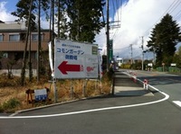 2010年11月29日