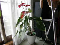 2011年07月04日